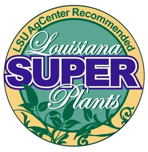 Master Gardeners to discuss Louisiana Super Plants, orchids at Central Branch Library Sept. 2 